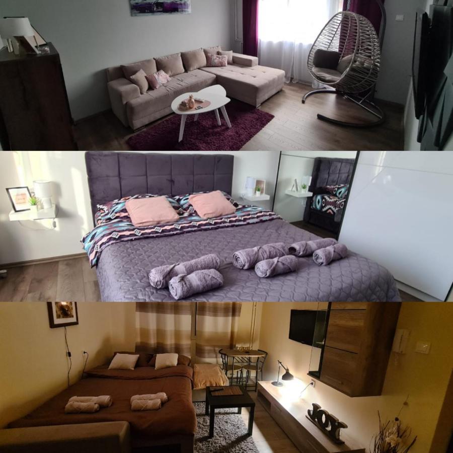 Grey & Sunny Apartments Заечар Экстерьер фото